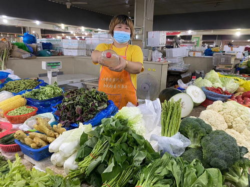 夏日冷鏈護航，松江城“菜籃子”新鮮度夏